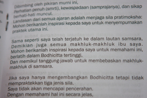 Penyelamatan Hewan 6 November 2011
