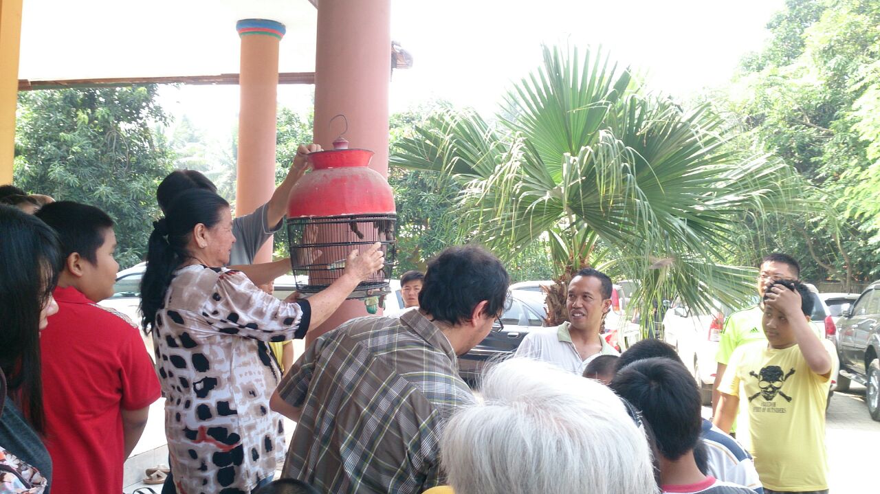 Fangsen Mei 2015
