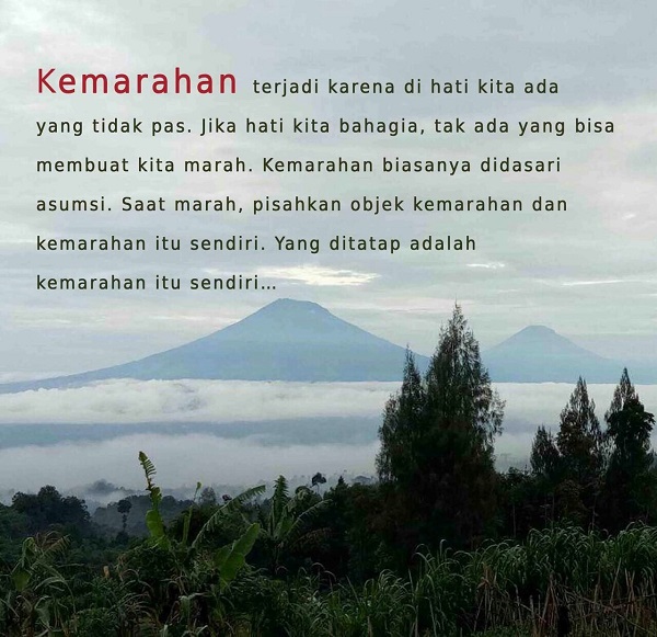 Tatap Kemarahan